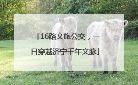 16路文旅公交，一日穿越济宁千年文脉