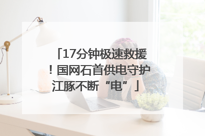 17分钟极速救援！国网石首供电守护江豚不断“电”