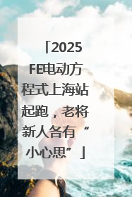 2025FE电动方程式上海站起跑，老将新人各有“小心思”
