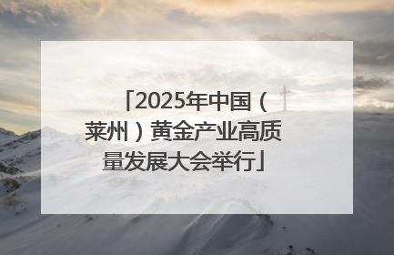 2025年中国（莱州）黄金产业高质量发展大会举行
