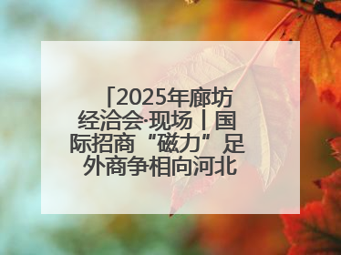 2025年廊坊经洽会·现场丨国际招商“磁力”足 外商争相向河北推介项目