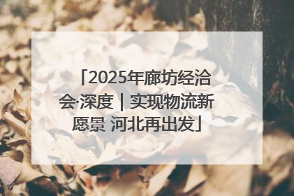 2025年廊坊经洽会·深度｜实现物流新愿景 河北再出发