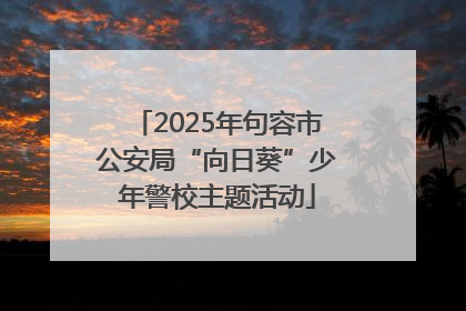 2025年句容市公安局“向日葵”少年警校主题活动