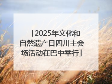 2025年文化和自然遗产日四川主会场活动在巴中举行
