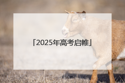 2025年高考启帷