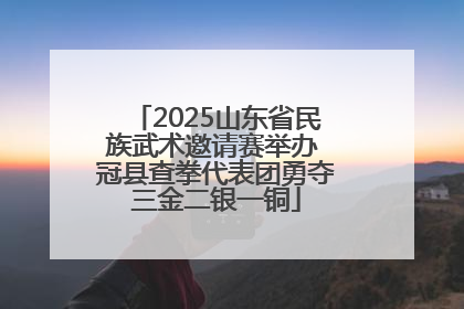 2025山东省民族武术邀请赛举办 冠县查拳代表团勇夺三金二银一铜