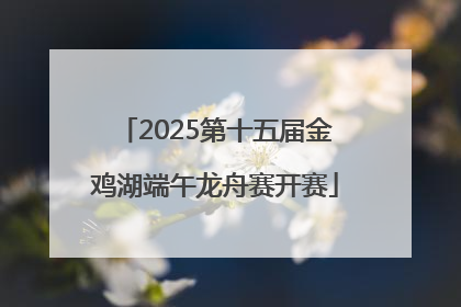 2025第十五届金鸡湖端午龙舟赛开赛