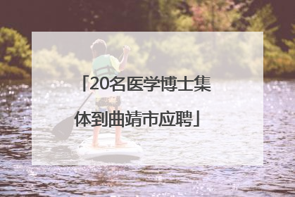 20名医学博士集体到曲靖市应聘
