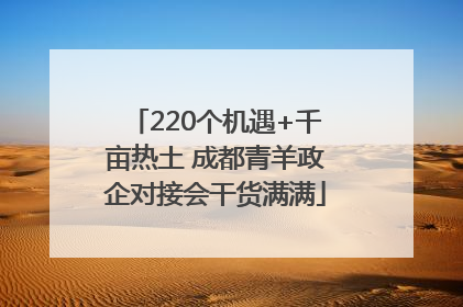 220个机遇+千亩热土 成都青羊政企对接会干货满满