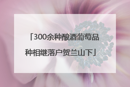 300余种酿酒葡萄品种相继落户贺兰山下