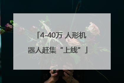 4-40万 人形机器人赶集“上线”