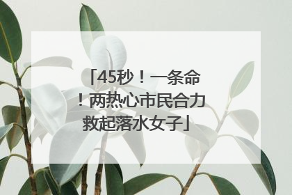 45秒！一条命！两热心市民合力救起落水女子