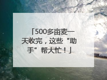 500多亩麦一天收完，这些“助手”帮大忙！