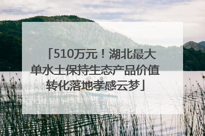510万元！湖北最大单水土保持生态产品价值转化落地孝感云梦