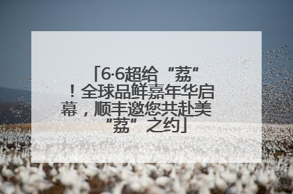 6·6超给“荔”！全球品鲜嘉年华启幕，顺丰邀您共赴美“荔”之约