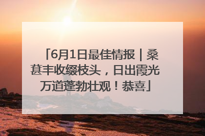6月1日最佳情报｜桑葚丰收缀枝头，日出霞光万道蓬勃壮观！恭喜