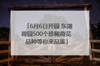 6月6日开园 东湖荷园500个珍稀荷花品种等你来品鉴