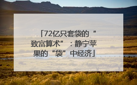 72亿只套袋的“致富算术”：静宁苹果的“袋”中经济