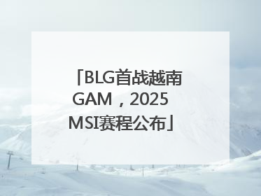 BLG首战越南GAM，2025MSI赛程公布
