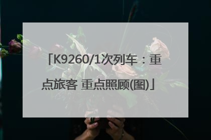 K9260/1次列车：重点旅客 重点照顾(图)
