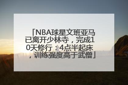 NBA球星文班亚马已离开少林寺，完成10天修行：4点半起床，训练强度高于武僧