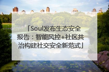 Soul发布生态安全报告：智能风控+社区共治构建社交安全新范式